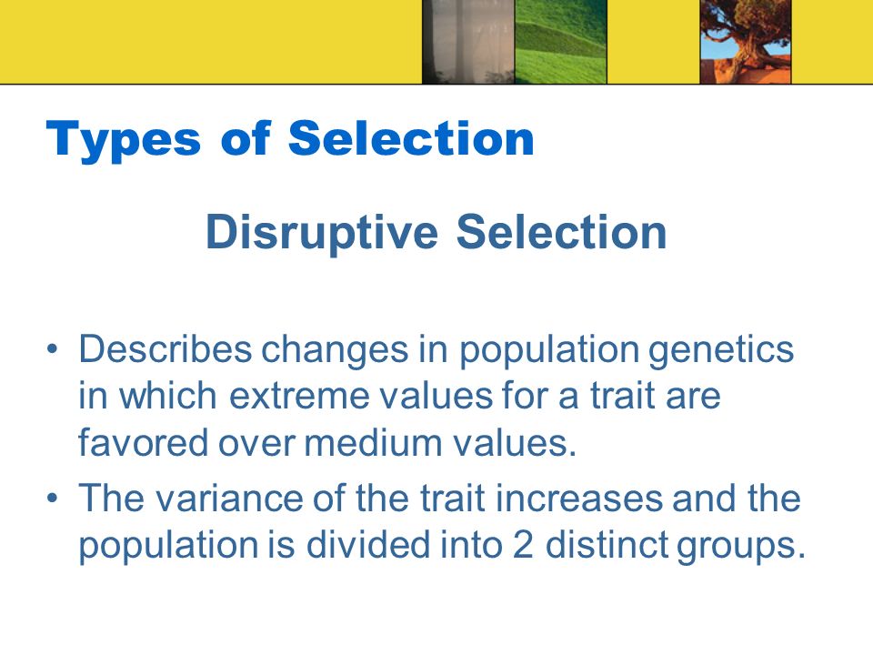 Types of Selection Disruptive Selection Describes changes in population genetics in which extreme values for a trait are favored over medium values.