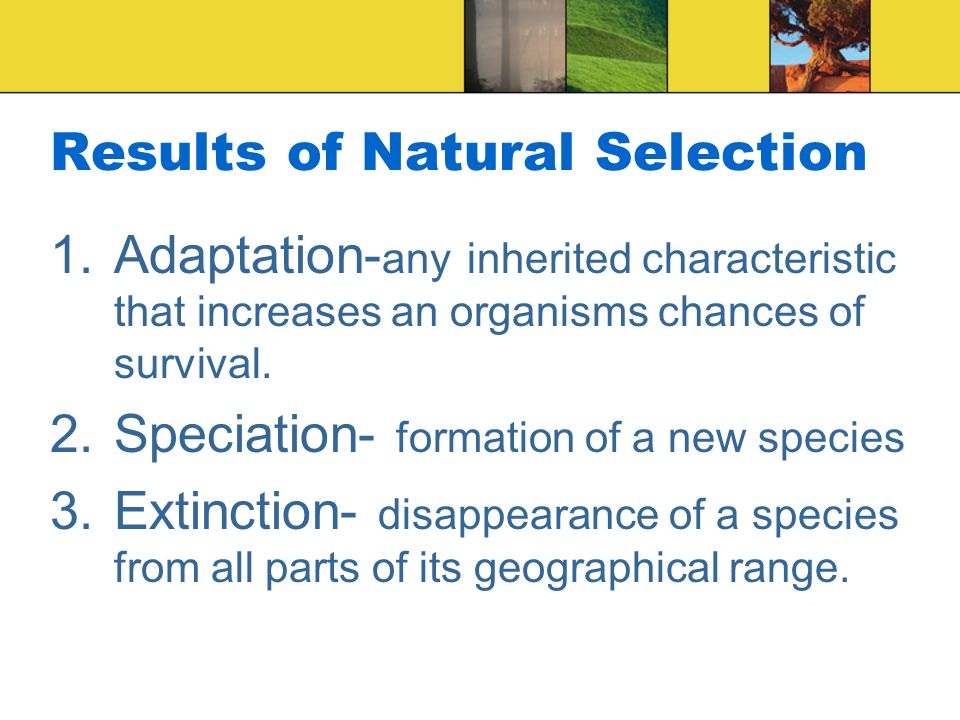 Results of Natural Selection 1.Adaptation- any inherited characteristic that increases an organisms chances of survival.