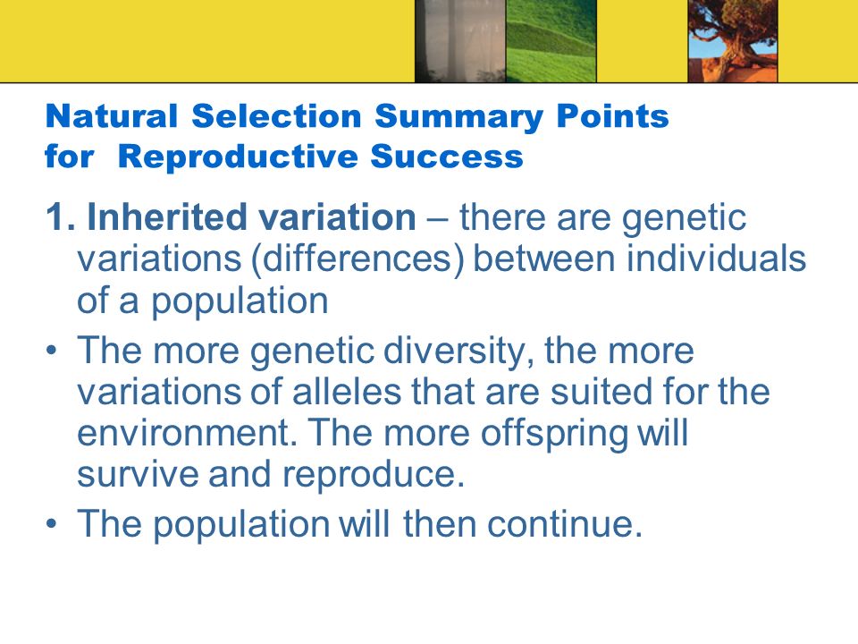 Natural Selection Summary Points for Reproductive Success 1.