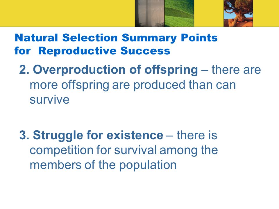 Natural Selection Summary Points for Reproductive Success 2.