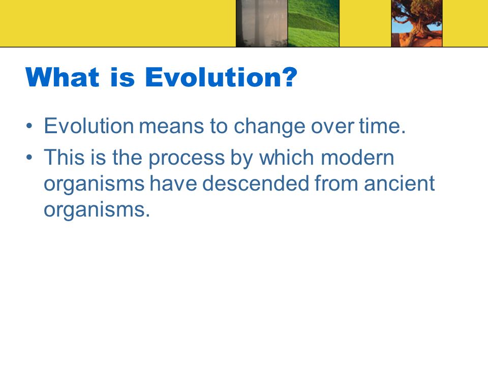 What is Evolution. Evolution means to change over time.