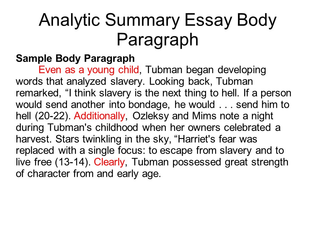 Body Of The Essay Example