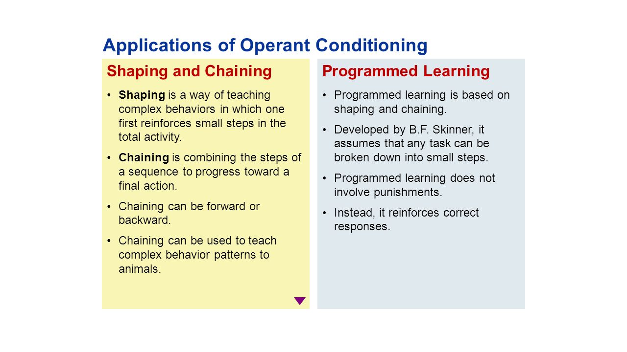 the classical and operant conditioning ways of learning the classical and operant conditioning ways of learning