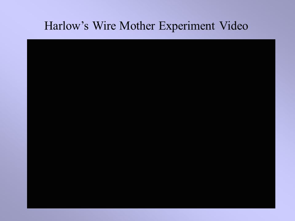 Harlow’s Wire Mother Experiment Video