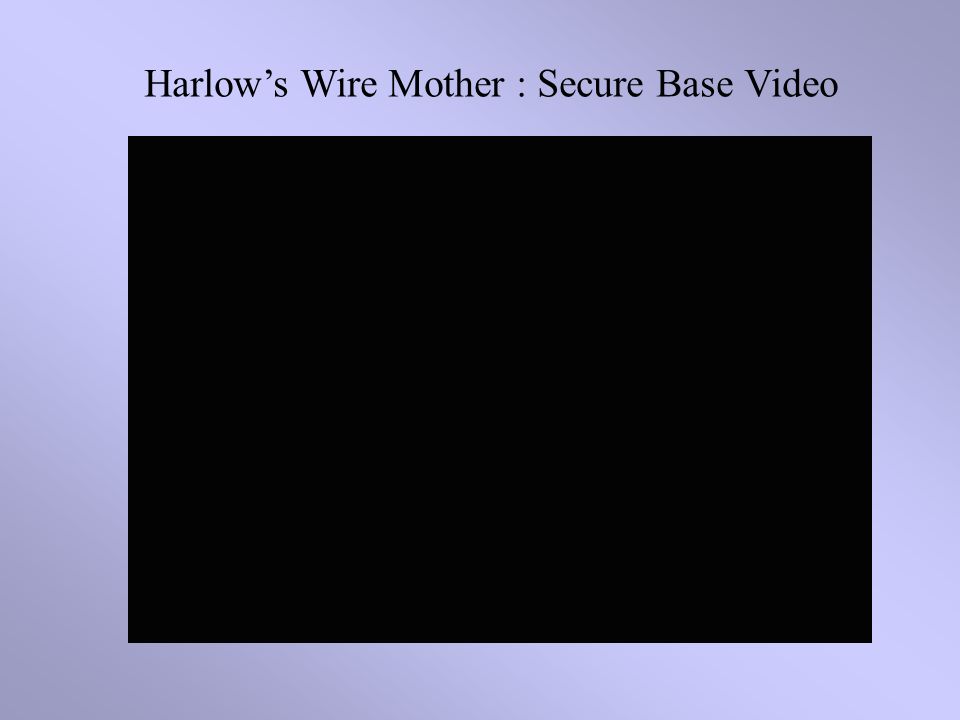 Harlow’s Wire Mother : Secure Base Video