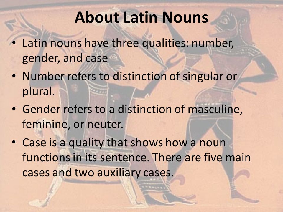 About Latin Nouns Latin nouns have three qualities: number, gender, and case Number refers to distinction of singular or plural.