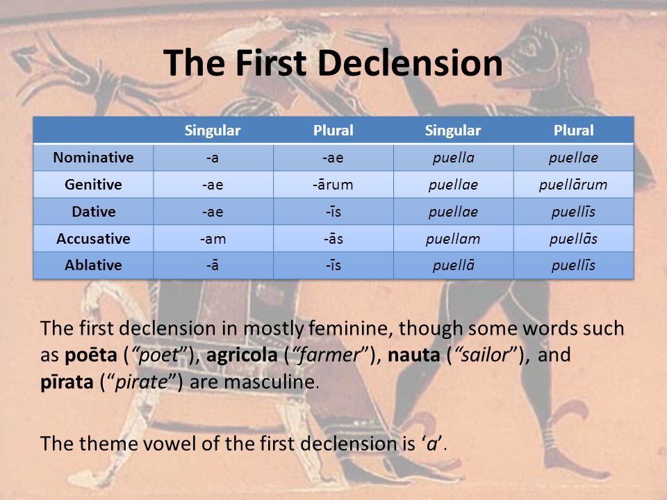 The First Declension The first declension in mostly feminine, though some words such as poēta ( poet ), agricola ( farmer ), nauta ( sailor ), and pīrata ( pirate ) are masculine.