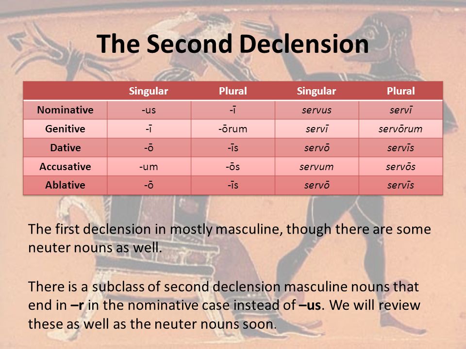 The Second Declension The first declension in mostly masculine, though there are some neuter nouns as well.
