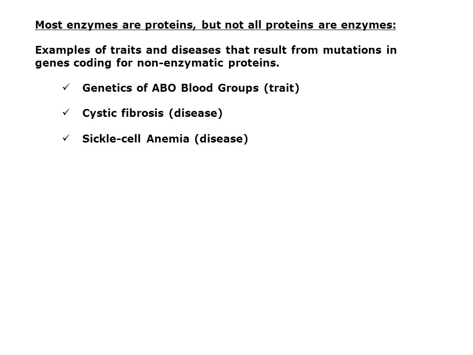 Enzymatic Protein Examples For Diets