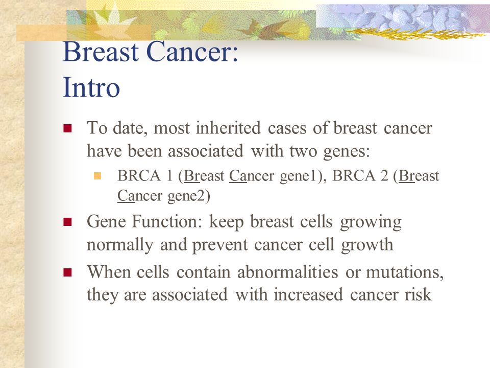 an introduction to the issue of breast cancer Essay on breast cancer breast cancer is the unwanted growth of cells in the breast tissues it is mainly classified in two categories: lobular carcinoma and ductal carcinoma. an introduction to the issue of breast cancer Essay on breast cancer breast cancer is the unwanted growth of cells in the breast tissues it is mainly classified in two categories: lobular carcinoma and ductal carcinoma.