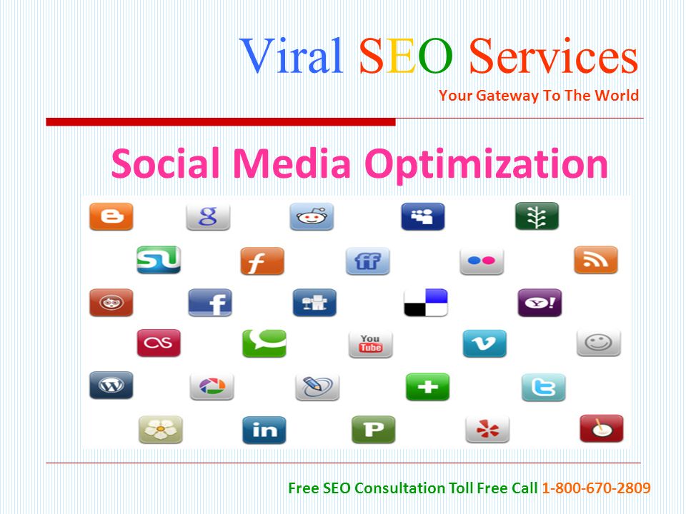 Viral SEO Services Your Gateway To The World Free SEO Consultation Toll Free Call Social Media Optimization