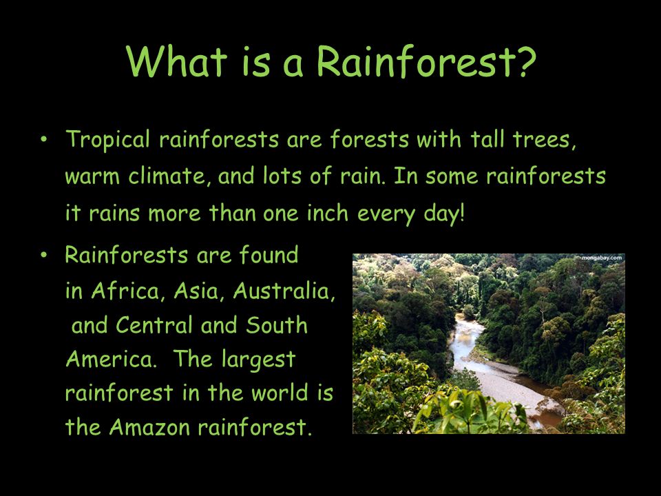 what are rainforests what are rainforests