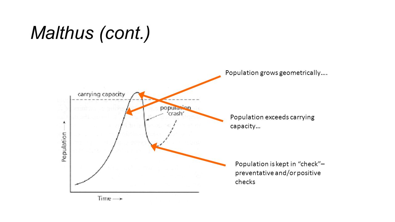 Population Essay