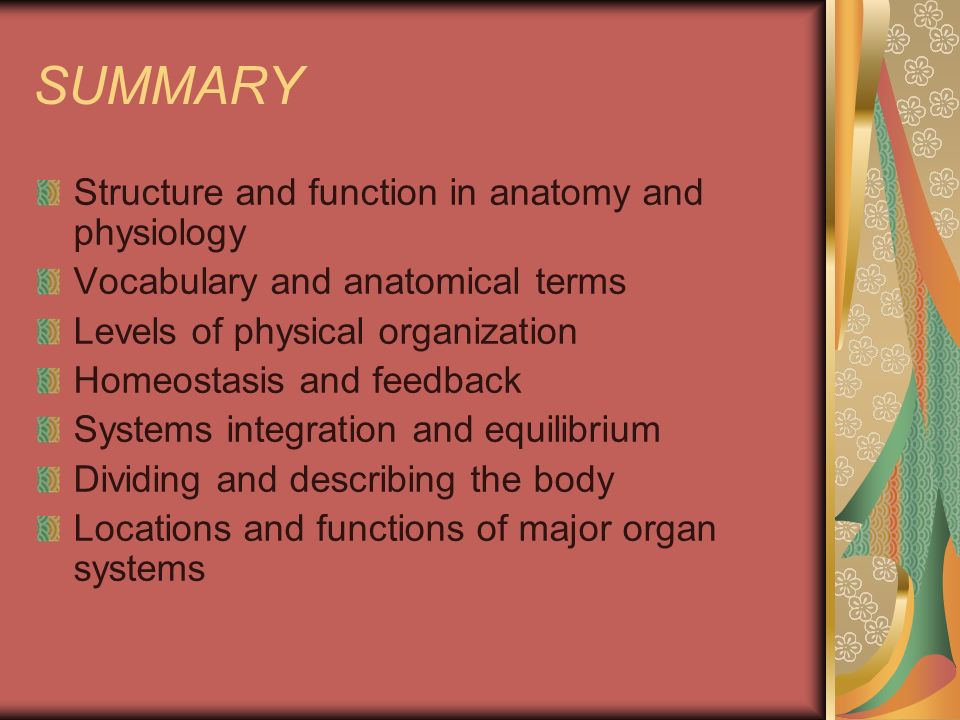 anatomy physiology vocabulary Flashcard practice questions on organ systems, types of tissue, mitosis and miesos, organ systems and more. anatomy physiology vocabulary Flashcard practice questions on organ systems, types of tissue, mitosis and miesos, organ systems and more.