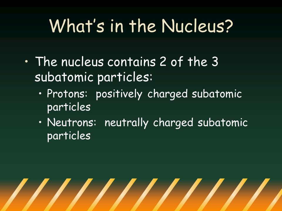 What’s in the Nucleus.