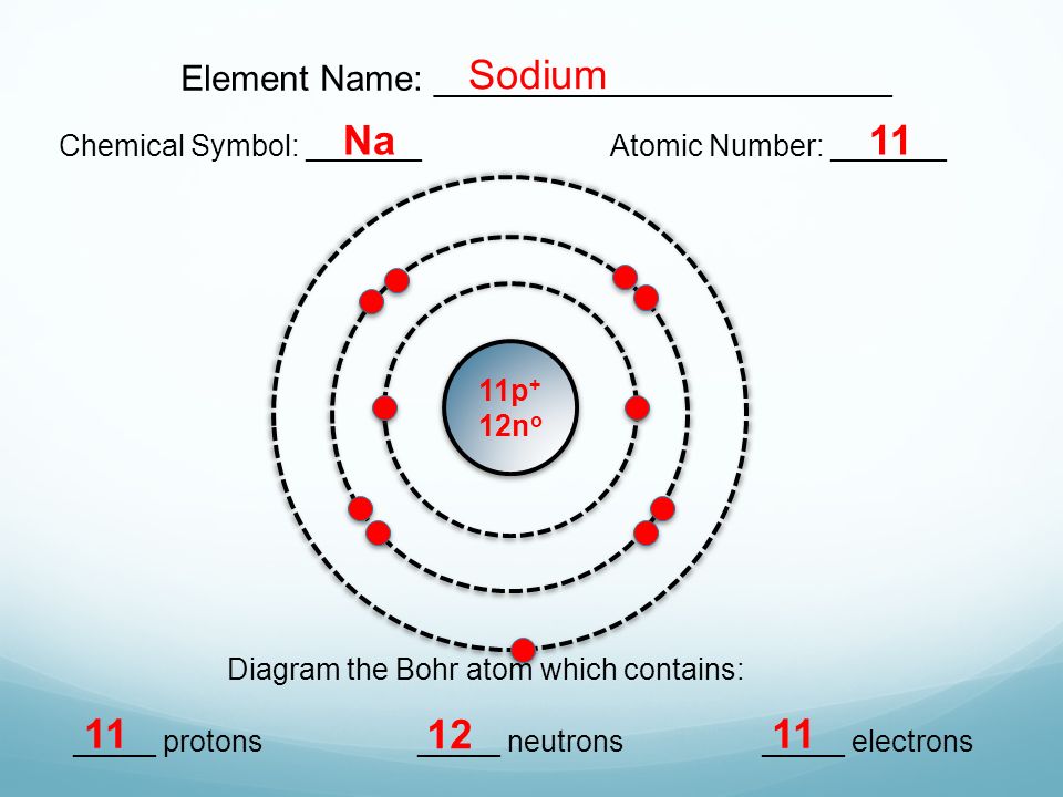 Element Name: _______________________ Chemical Symbol: _______Atomic Number: _______ Diagram the Bohr atom which contains: _____ protons_____ neutrons_____ electrons Sodium Na p + 12n o