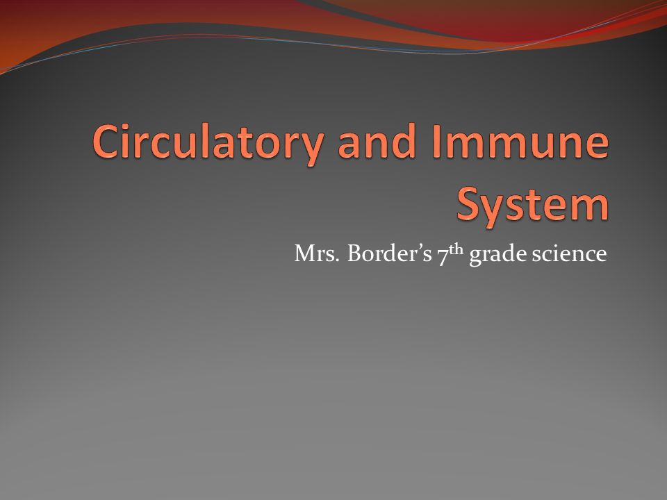 Mrs. Border’s 7 th grade science