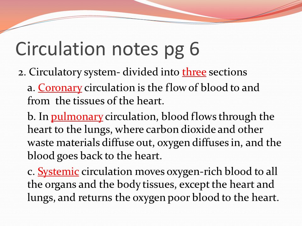 Circulation notes pg 6 2. Circulatory system- divided into three sections a.