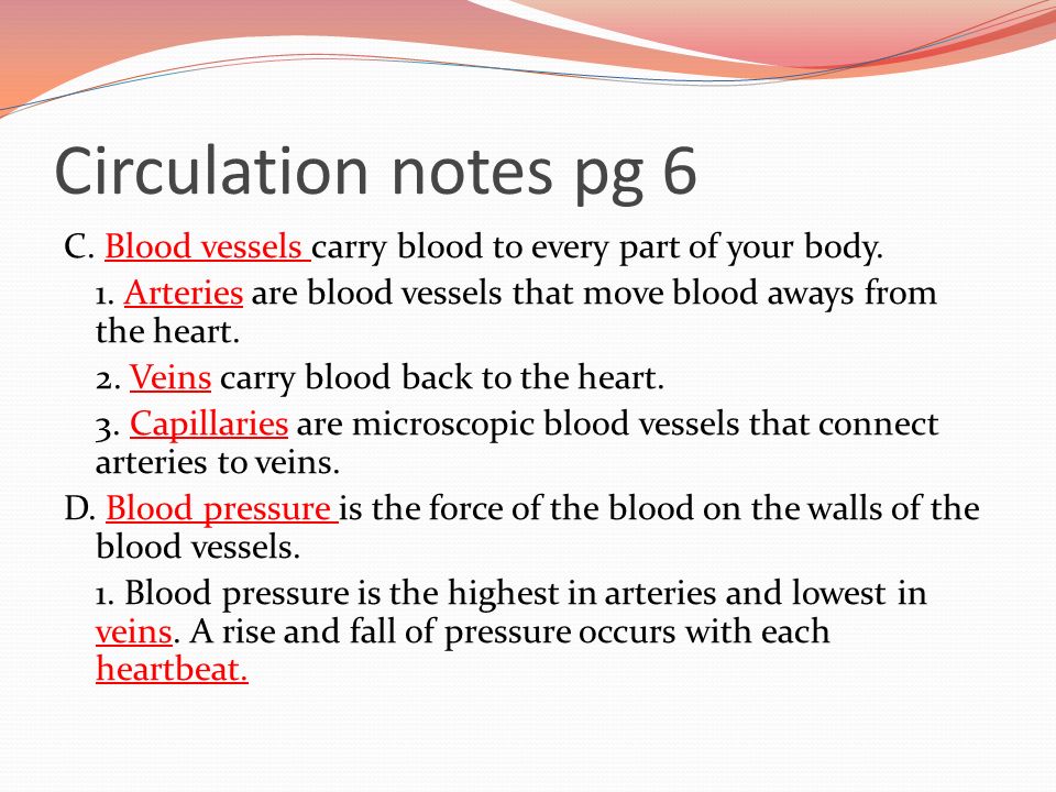 Circulation notes pg 6 C. Blood vessels carry blood to every part of your body.