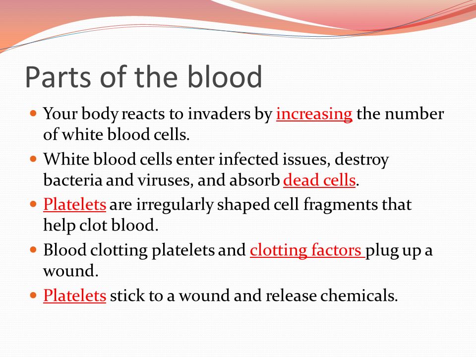 Parts of the blood Your body reacts to invaders by increasing the number of white blood cells.