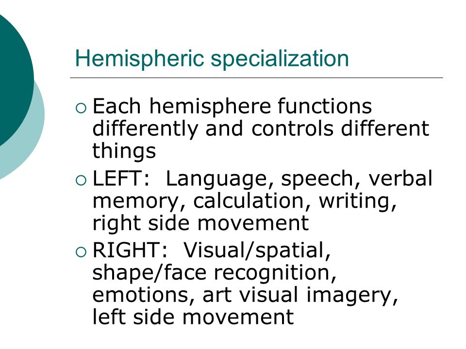 Hemispheric specialization  Each hemisphere functions differently and controls different things  LEFT: Language, speech, verbal memory, calculation, writing, right side movement  RIGHT: Visual/spatial, shape/face recognition, emotions, art visual imagery, left side movement
