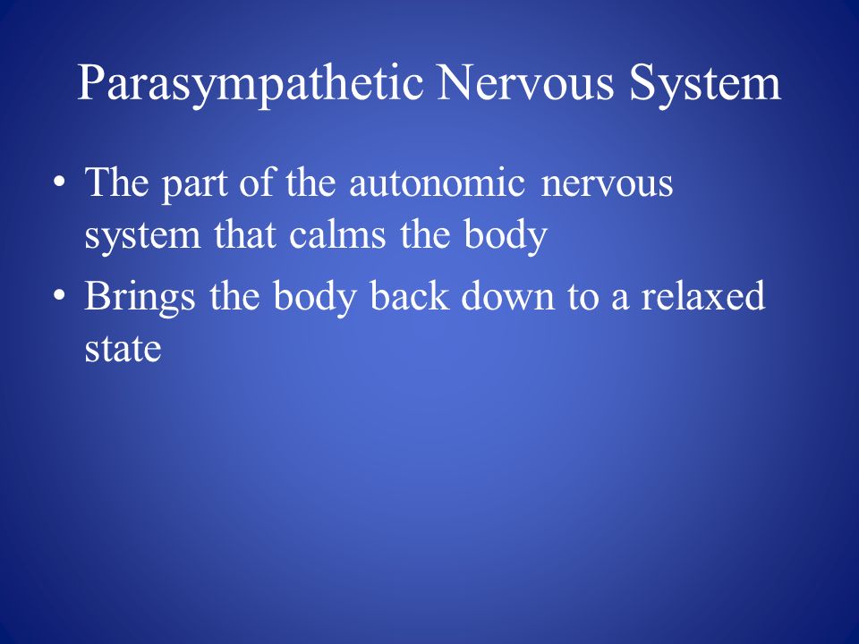 Parasympathetic Nervous System The part of the autonomic nervous system that calms the body Brings the body back down to a relaxed state