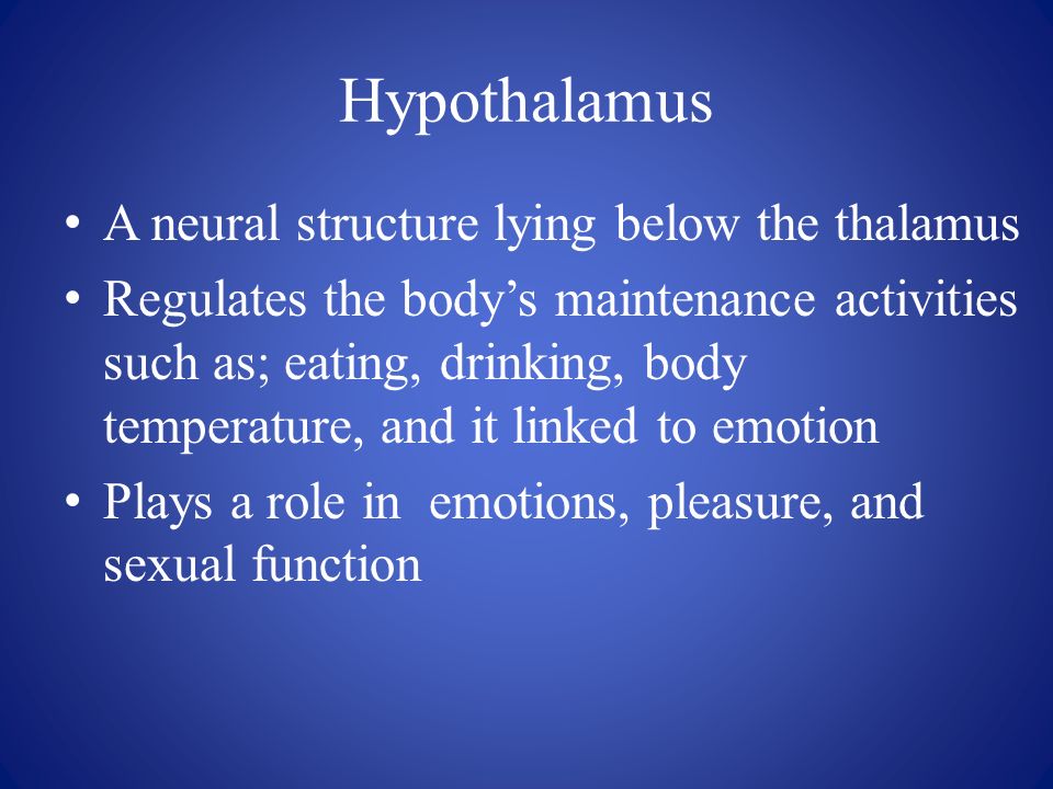Hypothalamus A neural structure lying below the thalamus Regulates the body’s maintenance activities such as; eating, drinking, body temperature, and it linked to emotion Plays a role in emotions, pleasure, and sexual function