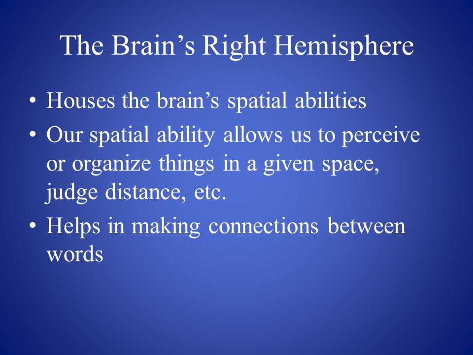 The Brain’s Right Hemisphere Houses the brain’s spatial abilities Our spatial ability allows us to perceive or organize things in a given space, judge distance, etc.