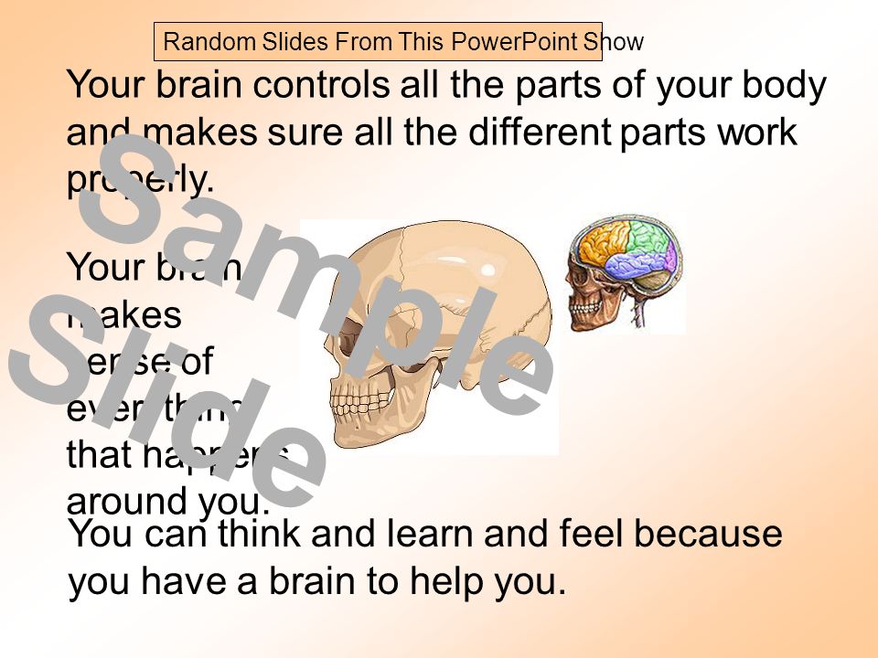 Your brain controls all the parts of your body and makes sure all the different parts work properly.