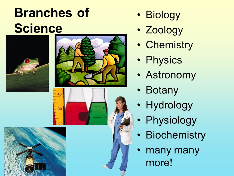 Branches of Science Biology Zoology Chemistry Physics Astronomy Botany Hydrology Physiology Biochemistry many many more!