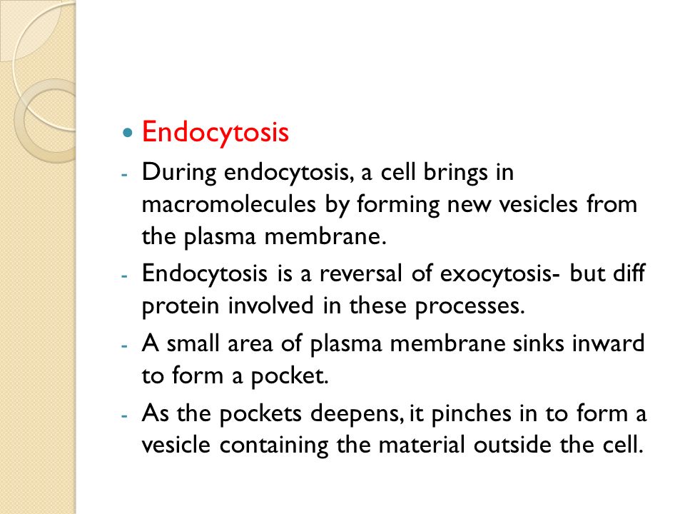 Endocytosis - During endocytosis, a cell brings in macromolecules by forming new vesicles from the plasma membrane.