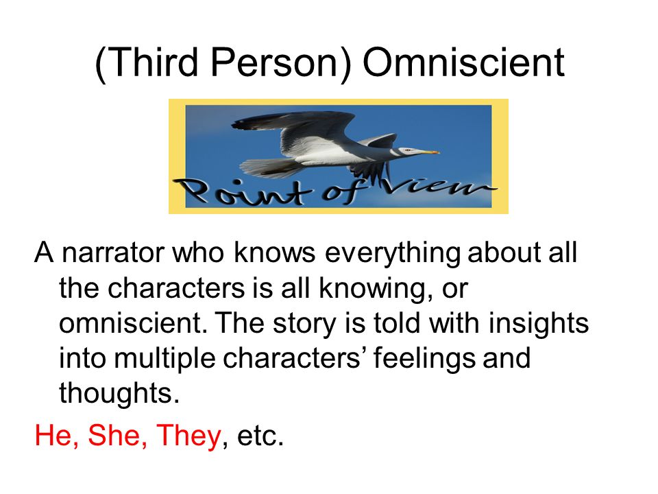 (Third Person) Omniscient A narrator who knows everything about all the characters is all knowing, or omniscient.