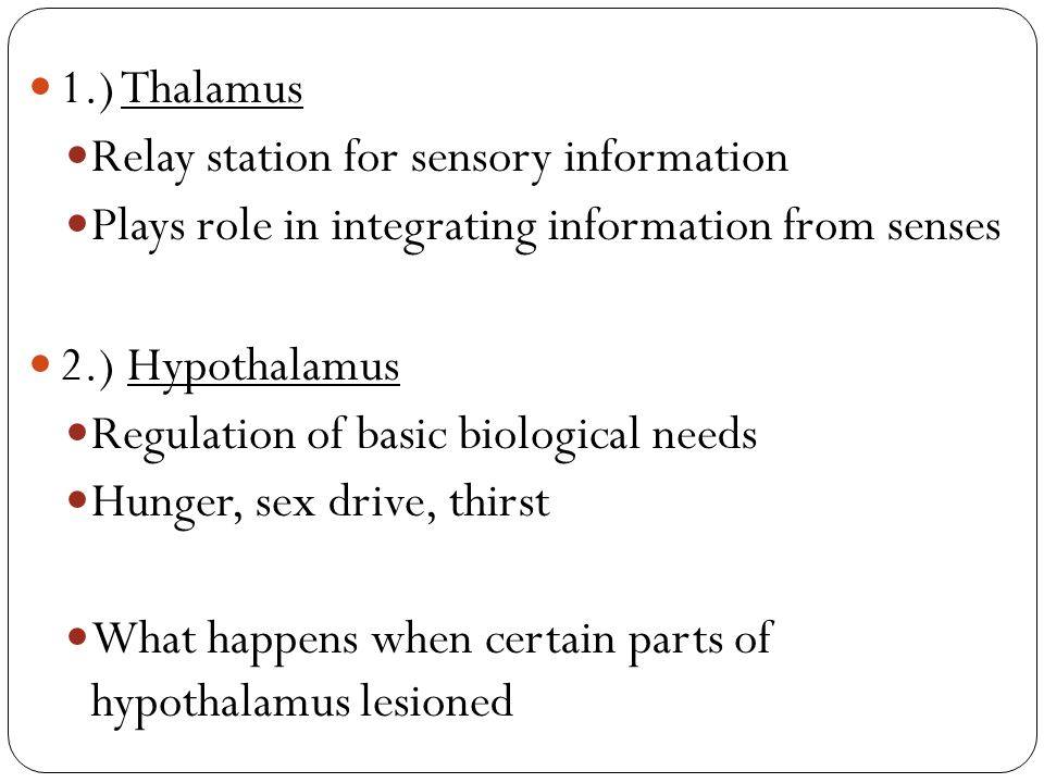1.) Thalamus Relay station for sensory information Plays role in integrating information from senses 2.) Hypothalamus Regulation of basic biological needs Hunger, sex drive, thirst What happens when certain parts of hypothalamus lesioned