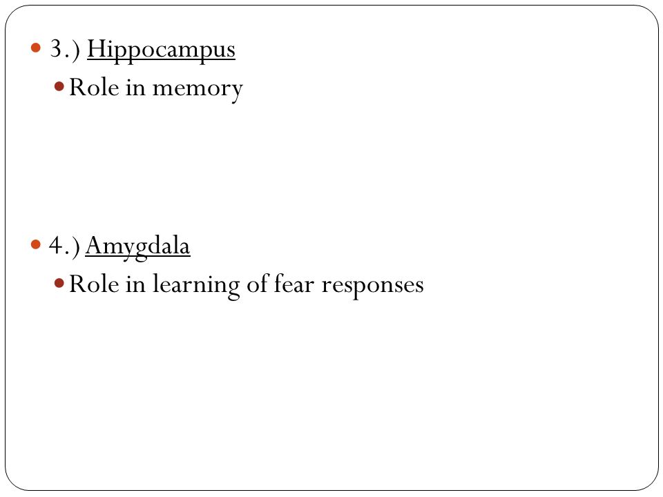 3.) Hippocampus Role in memory 4.) Amygdala Role in learning of fear responses