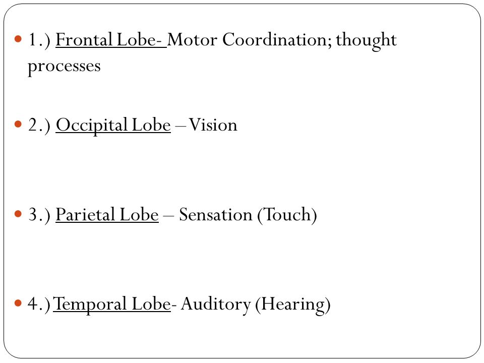 1.) Frontal Lobe- Motor Coordination; thought processes 2.) Occipital Lobe – Vision 3.) Parietal Lobe – Sensation (Touch) 4.) Temporal Lobe- Auditory (Hearing)