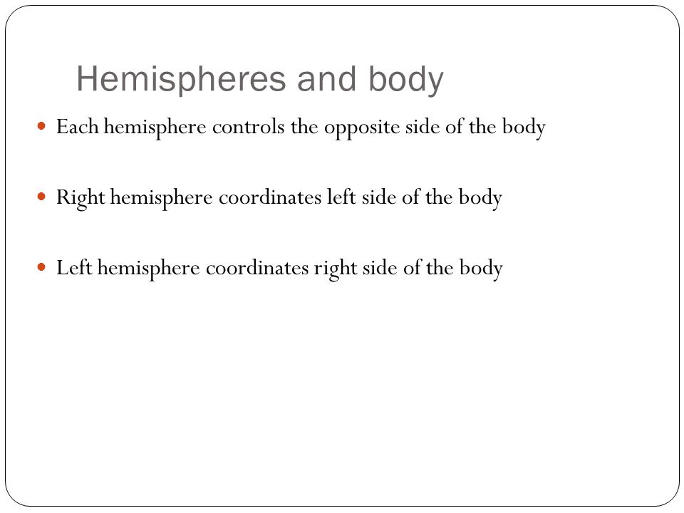 Hemispheres and body Each hemisphere controls the opposite side of the body Right hemisphere coordinates left side of the body Left hemisphere coordinates right side of the body