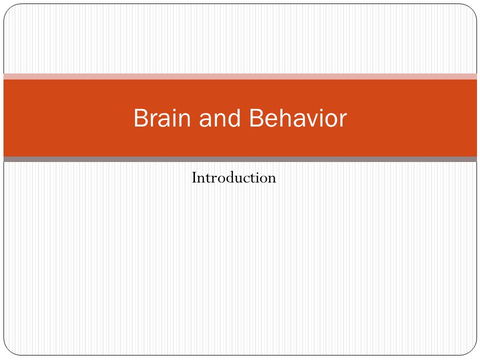 Brain and Behavior Introduction