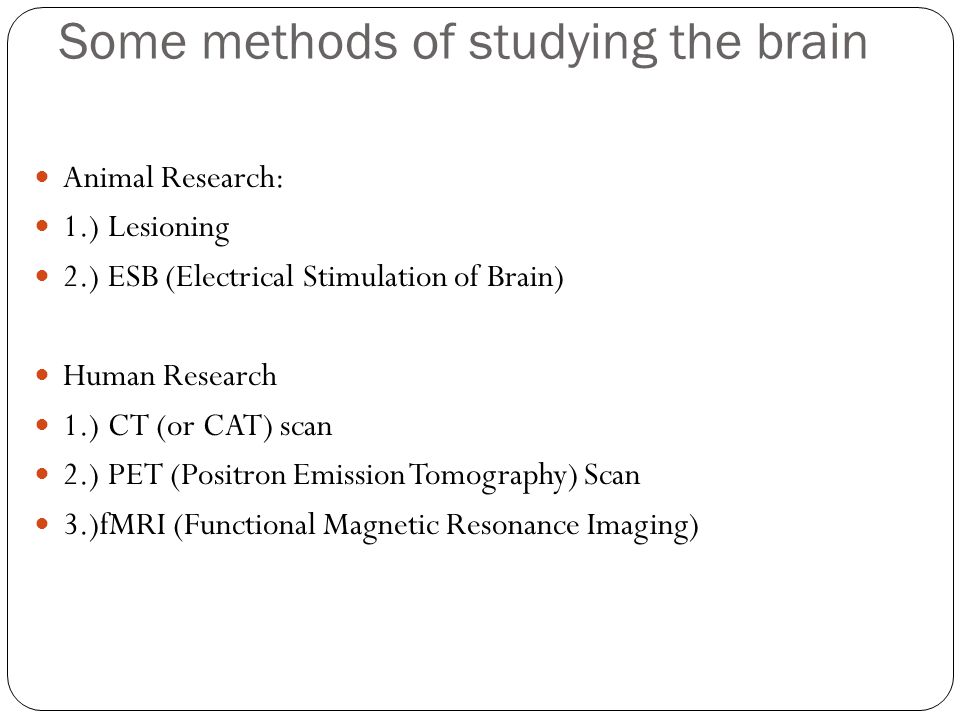 Some methods of studying the brain Animal Research: 1.) Lesioning 2.) ESB (Electrical Stimulation of Brain) Human Research 1.) CT (or CAT) scan 2.) PET (Positron Emission Tomography) Scan 3.)fMRI (Functional Magnetic Resonance Imaging)