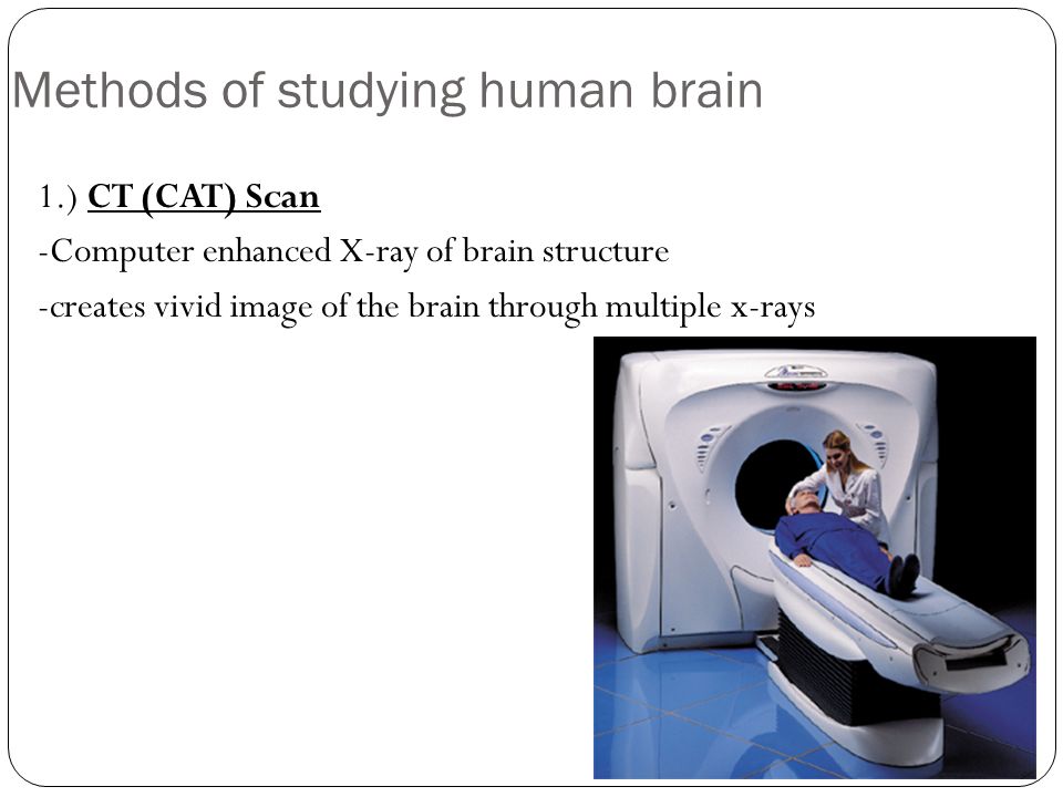 Methods of studying human brain 1.) CT (CAT) Scan -Computer enhanced X-ray of brain structure -creates vivid image of the brain through multiple x-rays