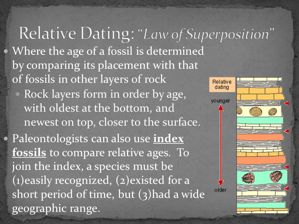 how do scientists know evolution has occurred paleontologists how do rock layers form