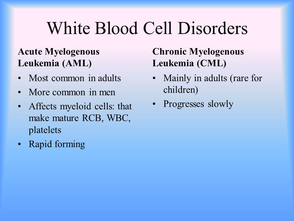 White Blood Cell Disorders Acute Myelogenous Leukemia (AML) Most common in adults More common in men Affects myeloid cells: that make mature RCB, WBC, platelets Rapid forming Chronic Myelogenous Leukemia (CML) Mainly in adults (rare for children) Progresses slowly