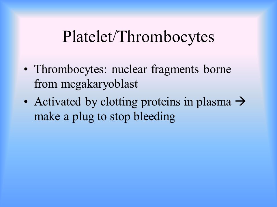 Platelet/Thrombocytes Thrombocytes: nuclear fragments borne from megakaryoblast Activated by clotting proteins in plasma  make a plug to stop bleeding