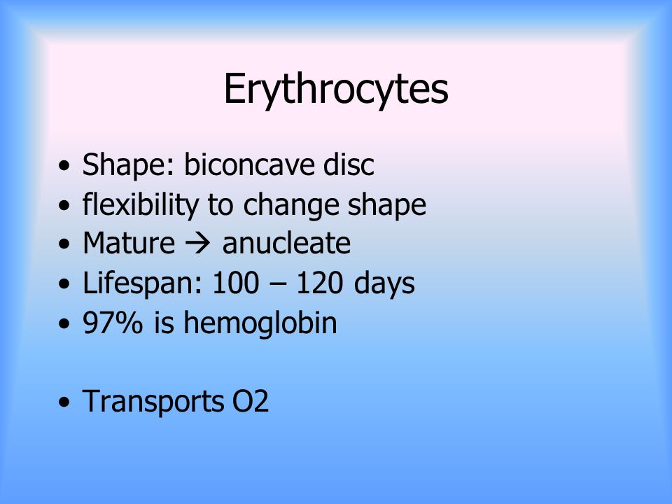 Erythrocytes Shape: biconcave disc flexibility to change shape Mature  anucleate Lifespan: 100 – 120 days 97% is hemoglobin Transports O2