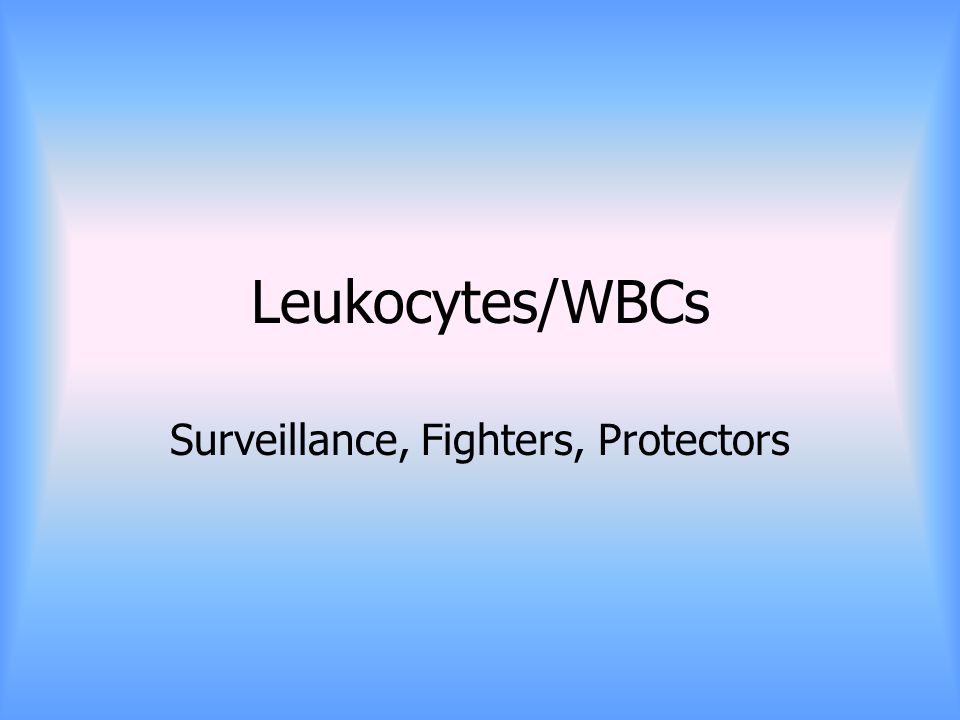 Leukocytes/WBCs Surveillance, Fighters, Protectors