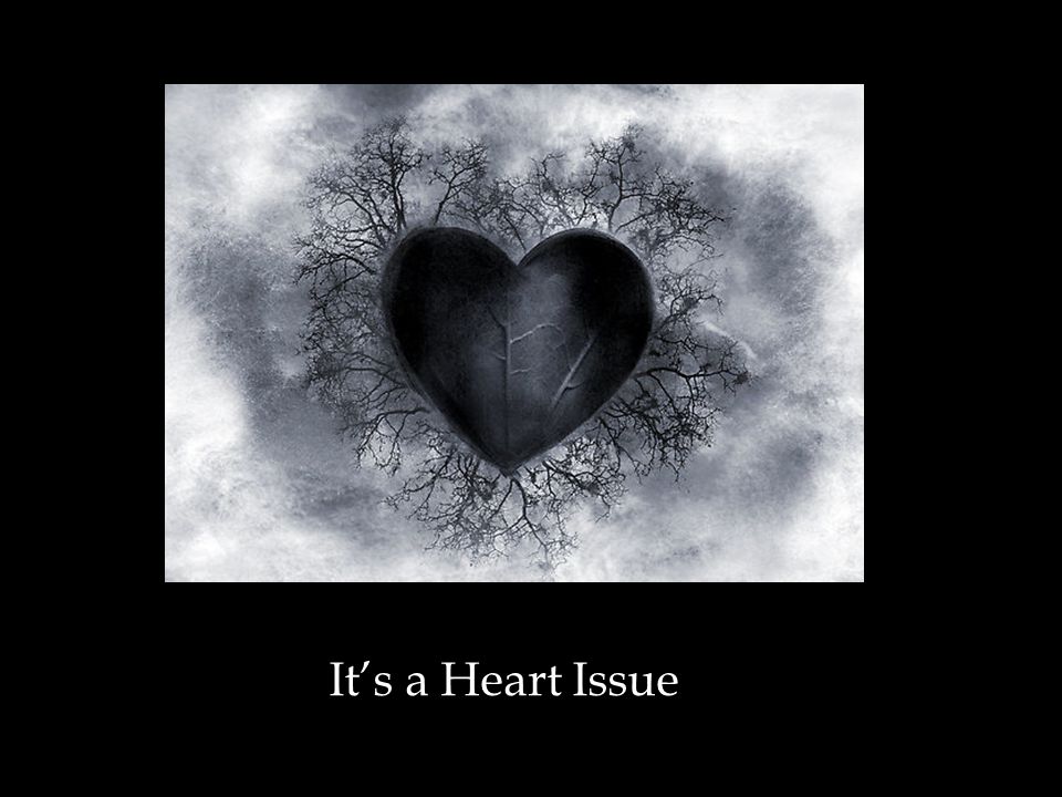 Image result for it's a heart issue