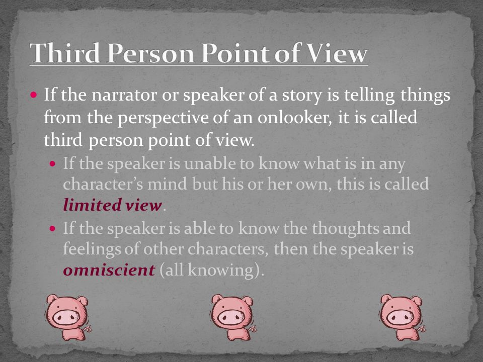 If the narrator or speaker of a story is telling things from the perspective of an onlooker, it is called third person point of view.