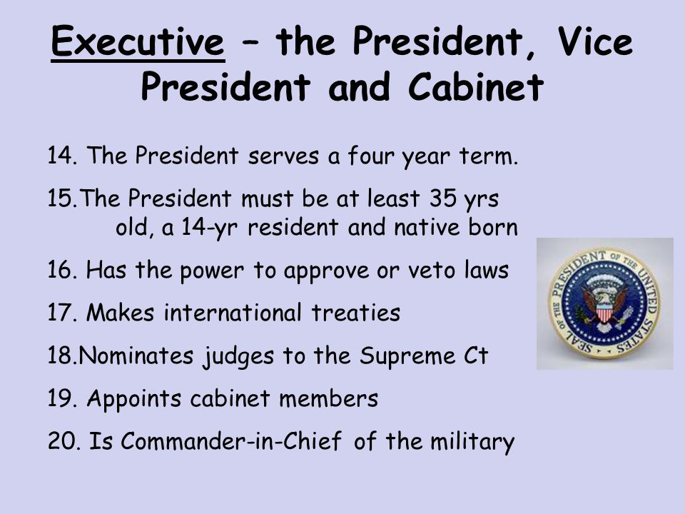 Executive Branch – the President ENFORCES LAWS