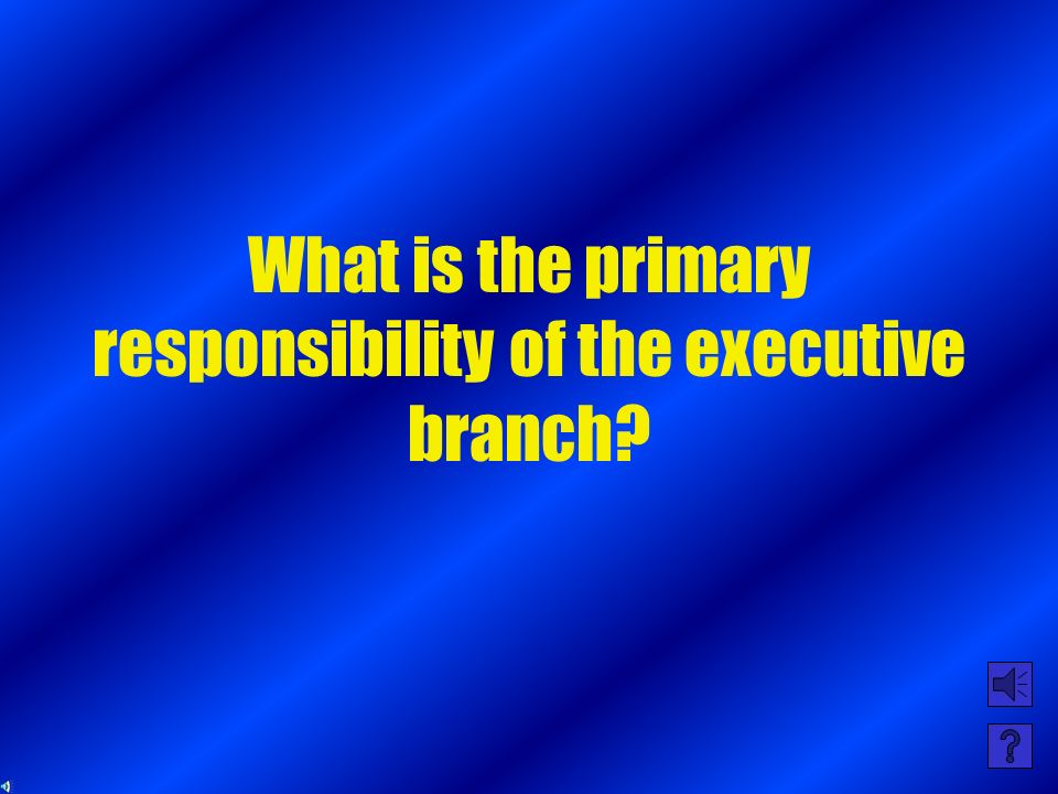 What is the primary responsibility of the legislative branch