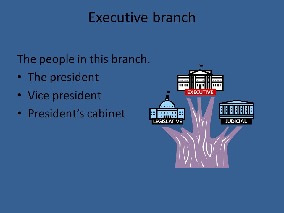 Executive branch The people in this branch. The president Vice president President’s cabinet