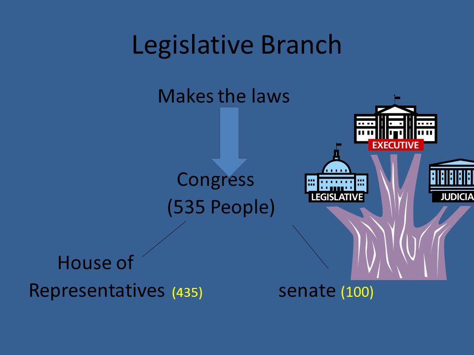 Legislative Branch Makes the laws Congress (535 People) House of Representatives (435) senate (100)